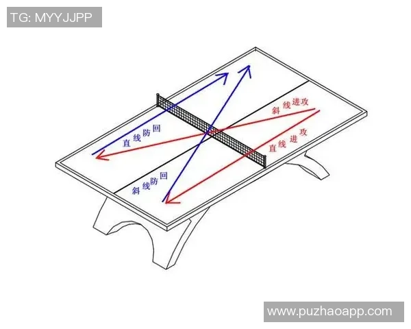 北京乒乓球队区域防守策略分析及其在比赛中的成效与不足之处