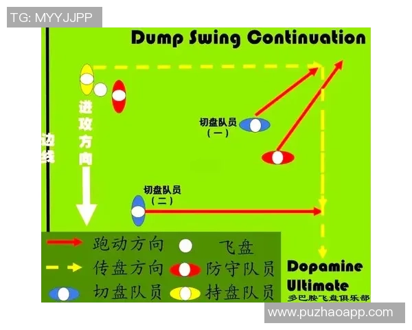 北京飞盘队意识表现的数据分析与战术提升研究