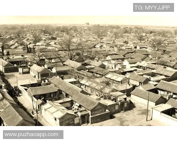 双色球专家分析与对比揭示中奖规律与技巧的深度探讨